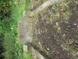 image of grave number 528691